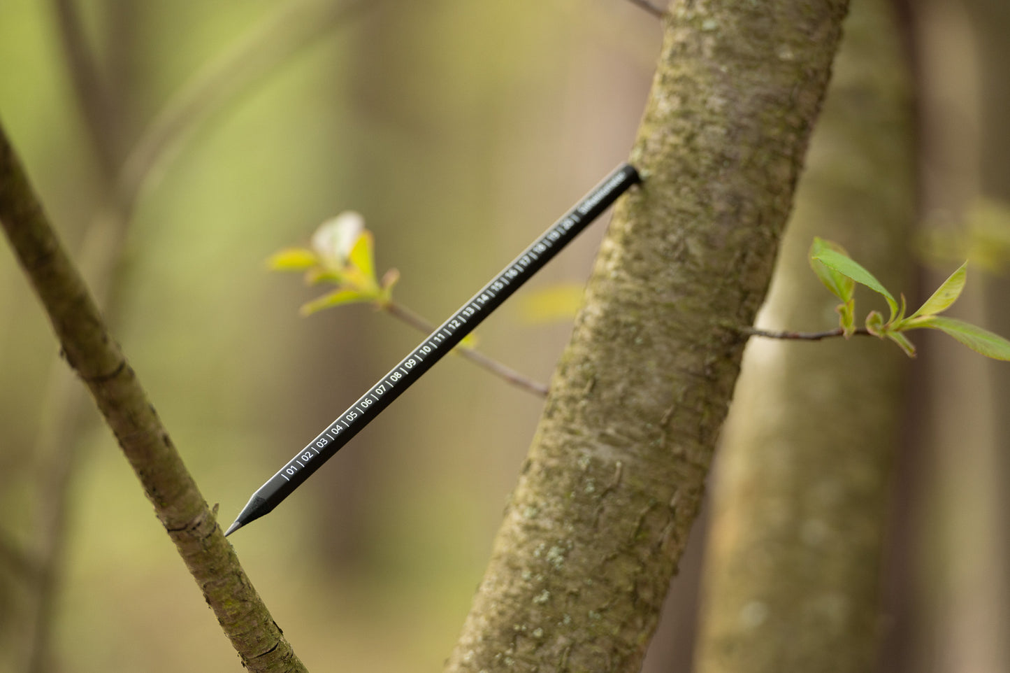 "Stiftekilometer" Nature Journaling Bleistift (sechseckig)