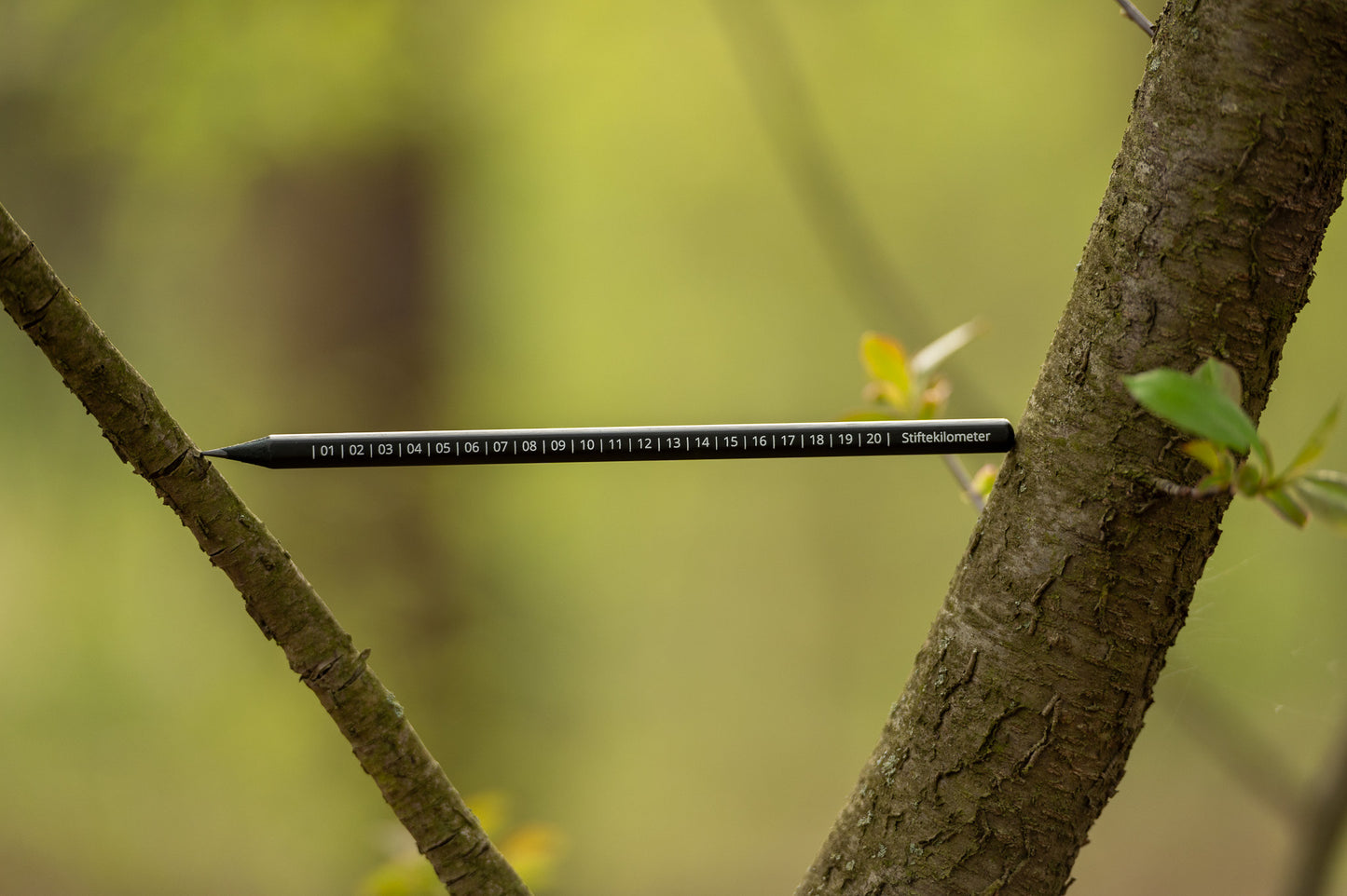 "Stiftekilometer" Nature Journaling Bleistift (sechseckig)