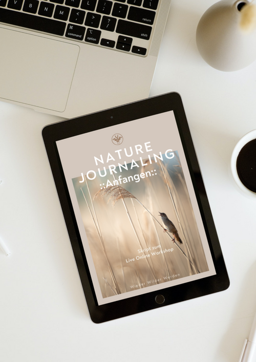 ::Anfangen:: - Beginner Nature Journaling Online Workshop