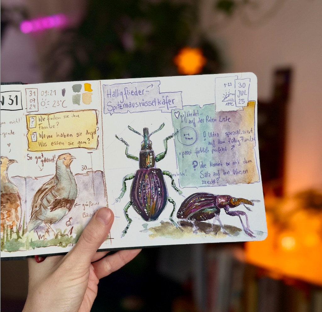 Käfer Glitzer-Sticker (Set)