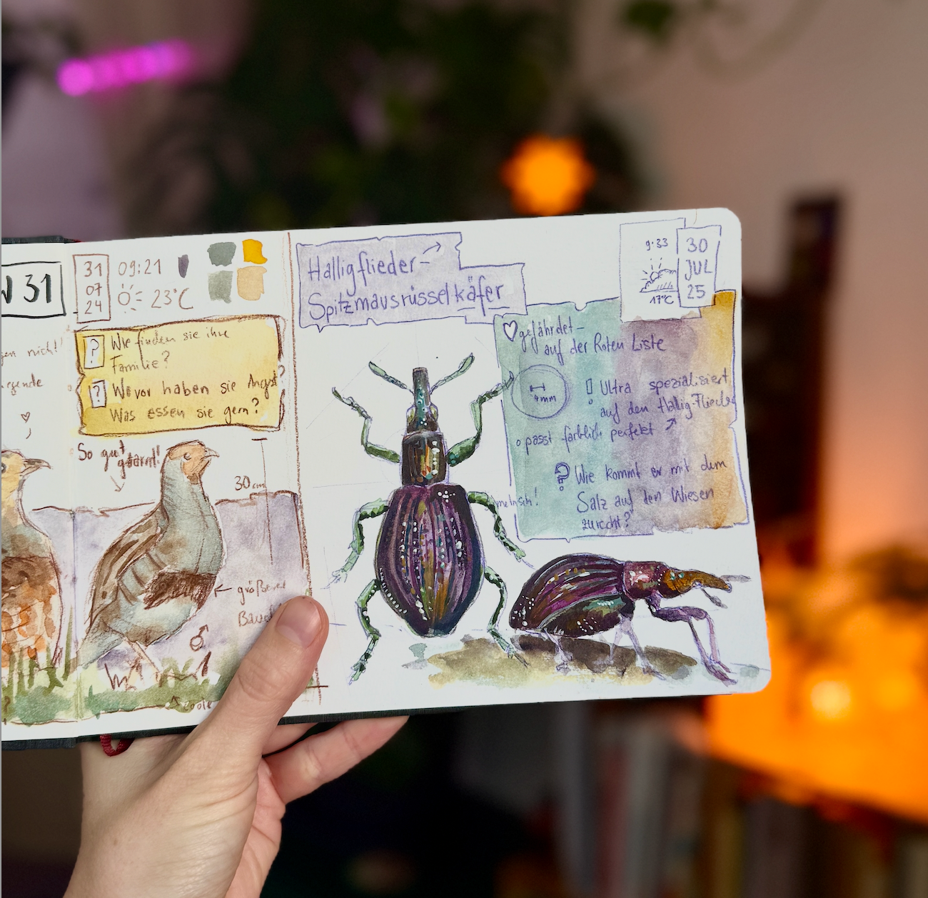 Käfer Glitzer-Sticker (Set)