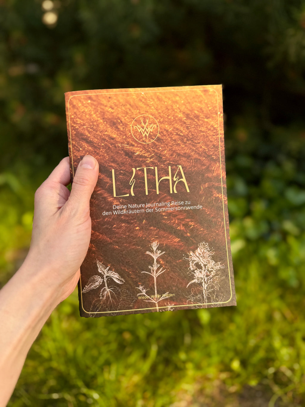 Litha - Deine Nature Journaling Reise zu den Wildkräutern der Sommersonnwende