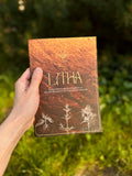 Litha - Deine Nature Journaling Reise zu den Wildkräutern der Sommersonnwende
