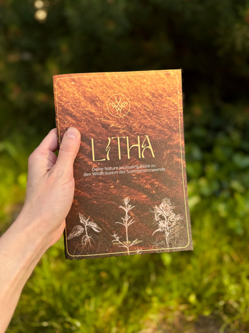 Litha - Deine Nature Journaling Reise zu den Wildkräutern der Sommersonnwende