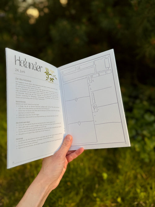 Litha - Deine Nature Journaling Reise zu den Wildkräutern der Sommersonnwende