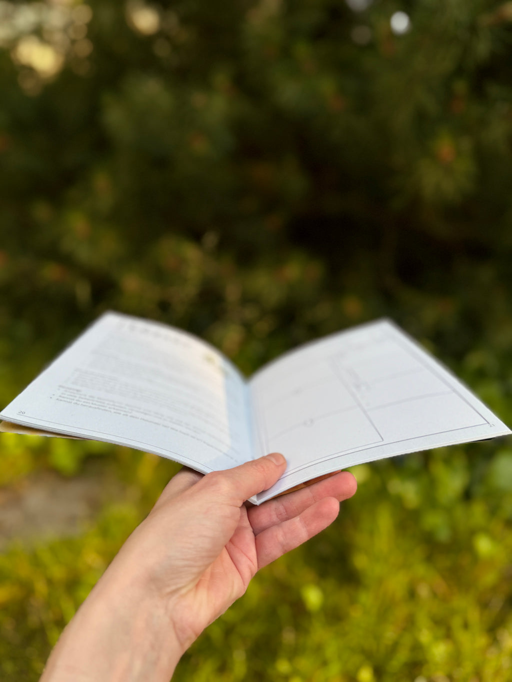 Litha - Deine Nature Journaling Reise zu den Wildkräutern der Sommersonnwende