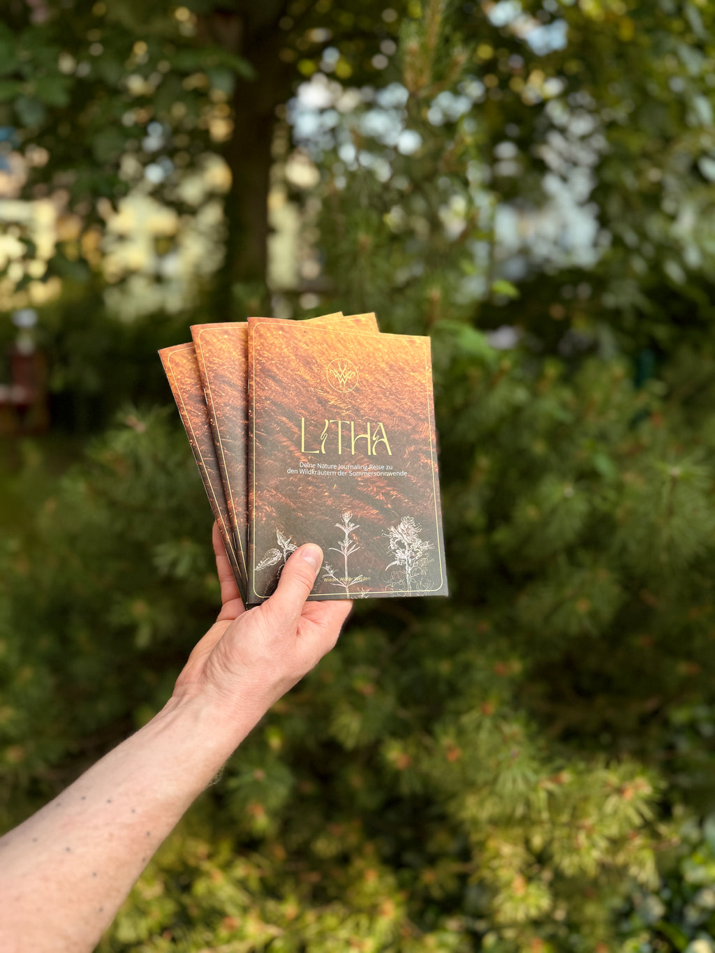 Litha - Deine Nature Journaling Reise zu den Wildkräutern der Sommersonnwende