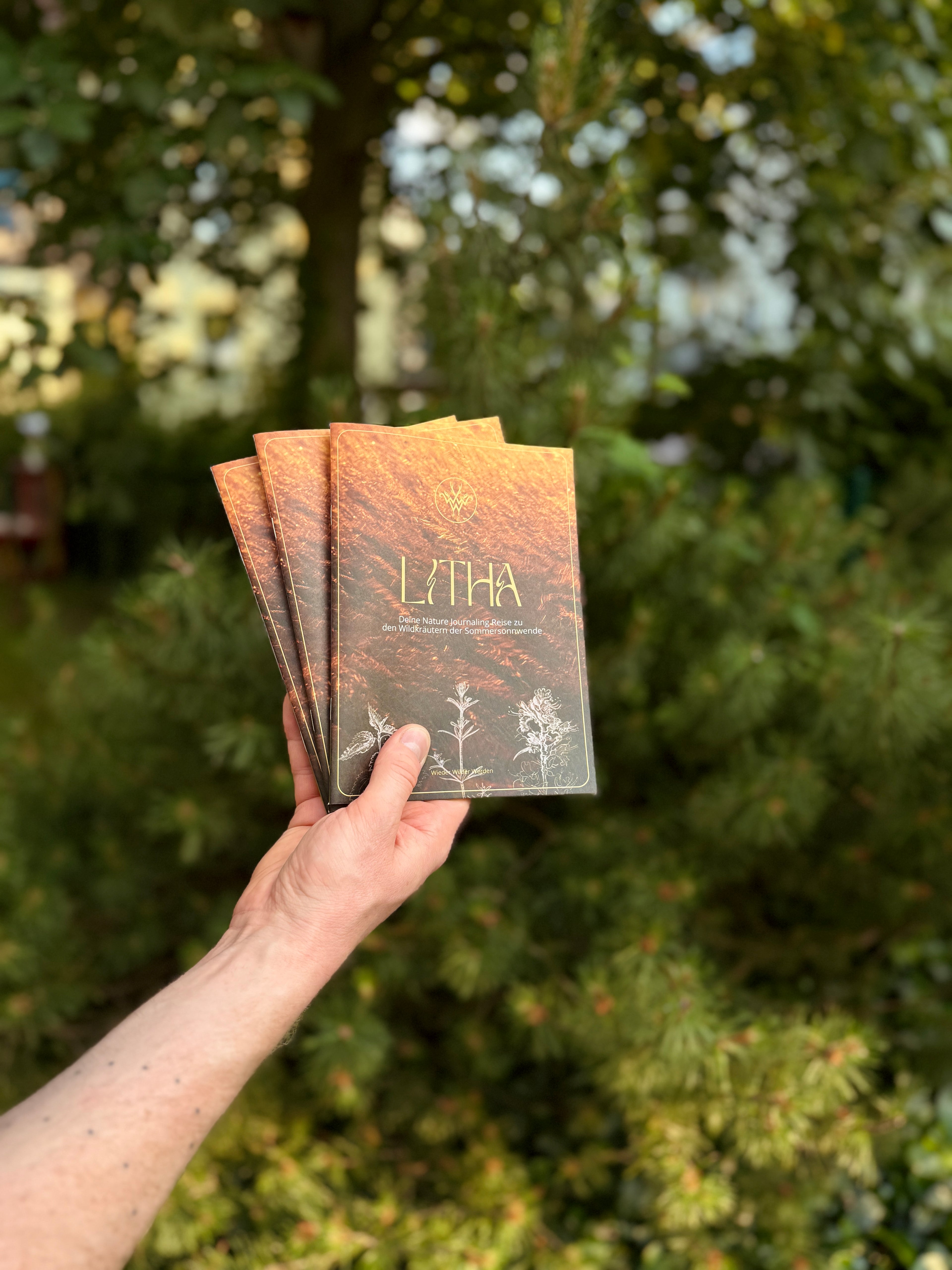 Litha - Deine Nature Journaling Reise zu den Wildkräutern der Sommersonnwende