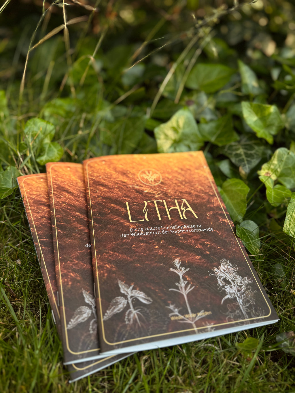 Litha - Deine Nature Journaling Reise zu den Wildkräutern der Sommersonnwende