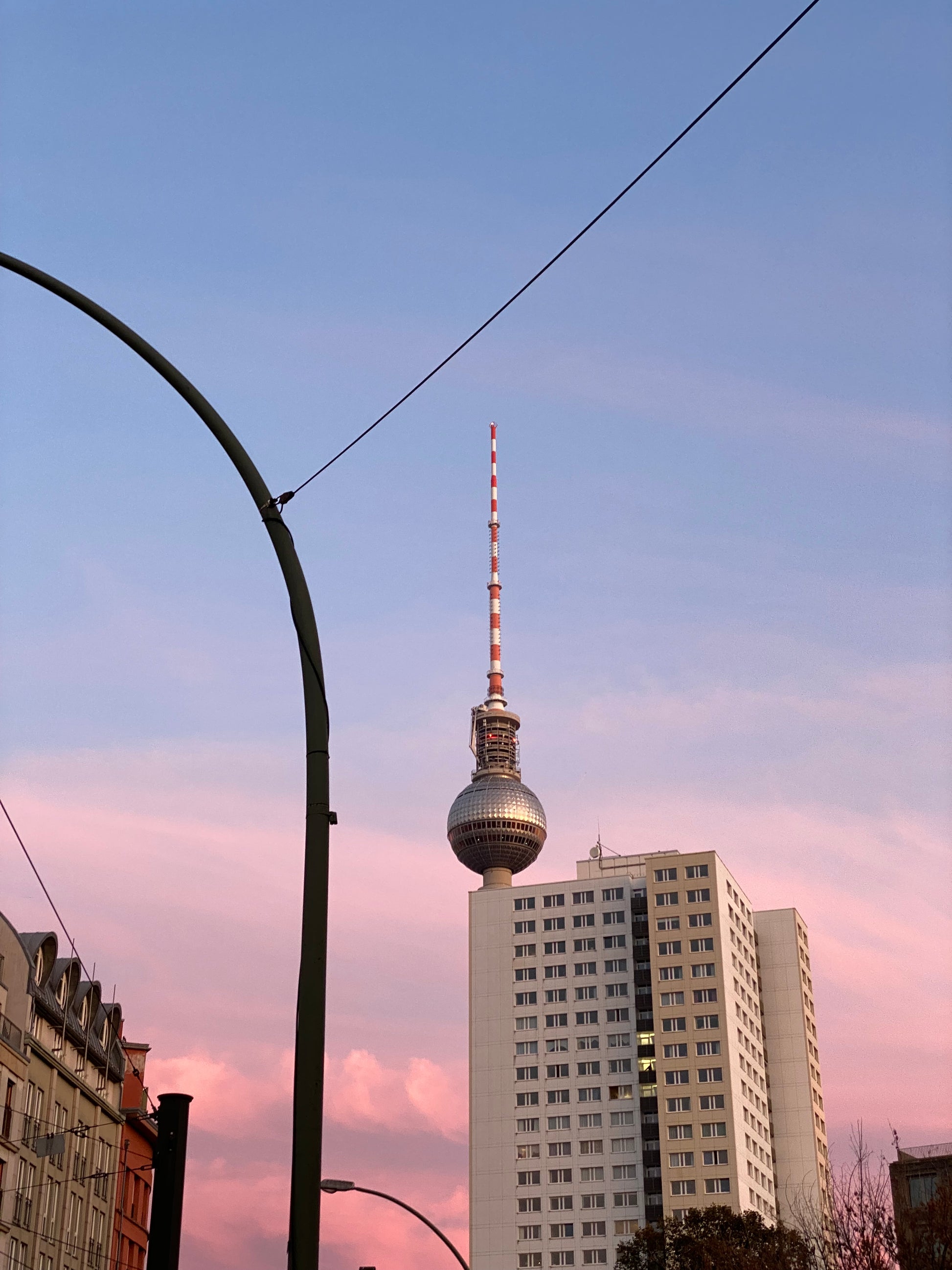 Unter Staren, Moos & Mauerseglern  - Ein Nature Journaling-Wochenende in der Stadtnatur Berlins