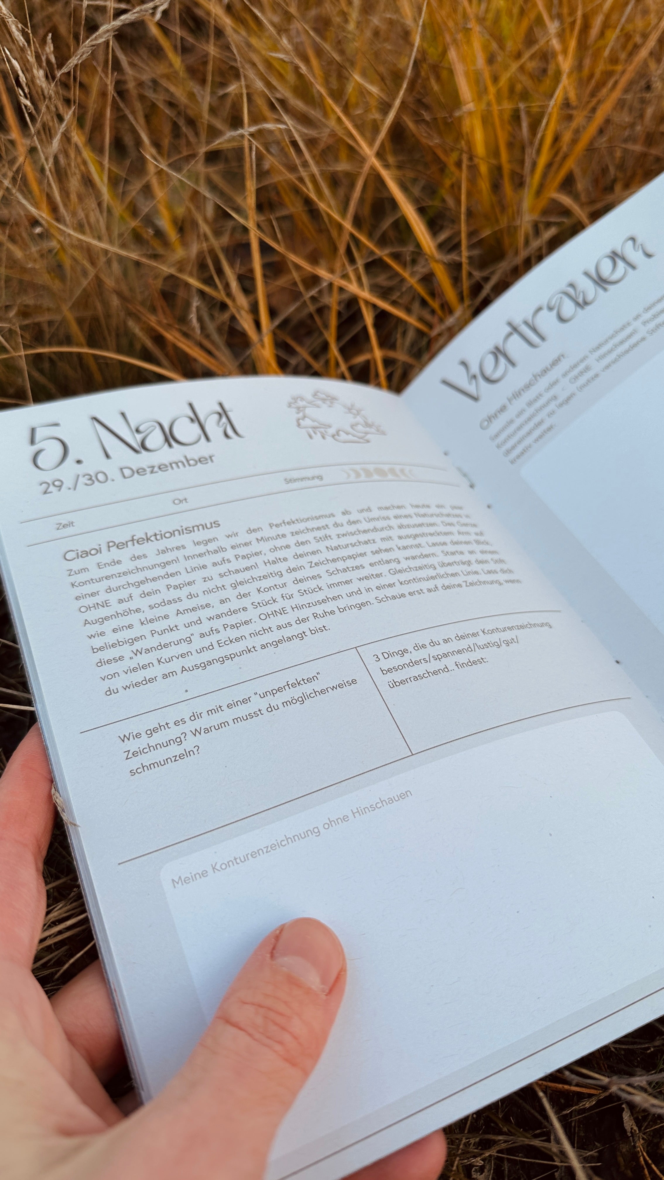 Raunacht - 12 Tage Nature Journaling zwischen den Jahren