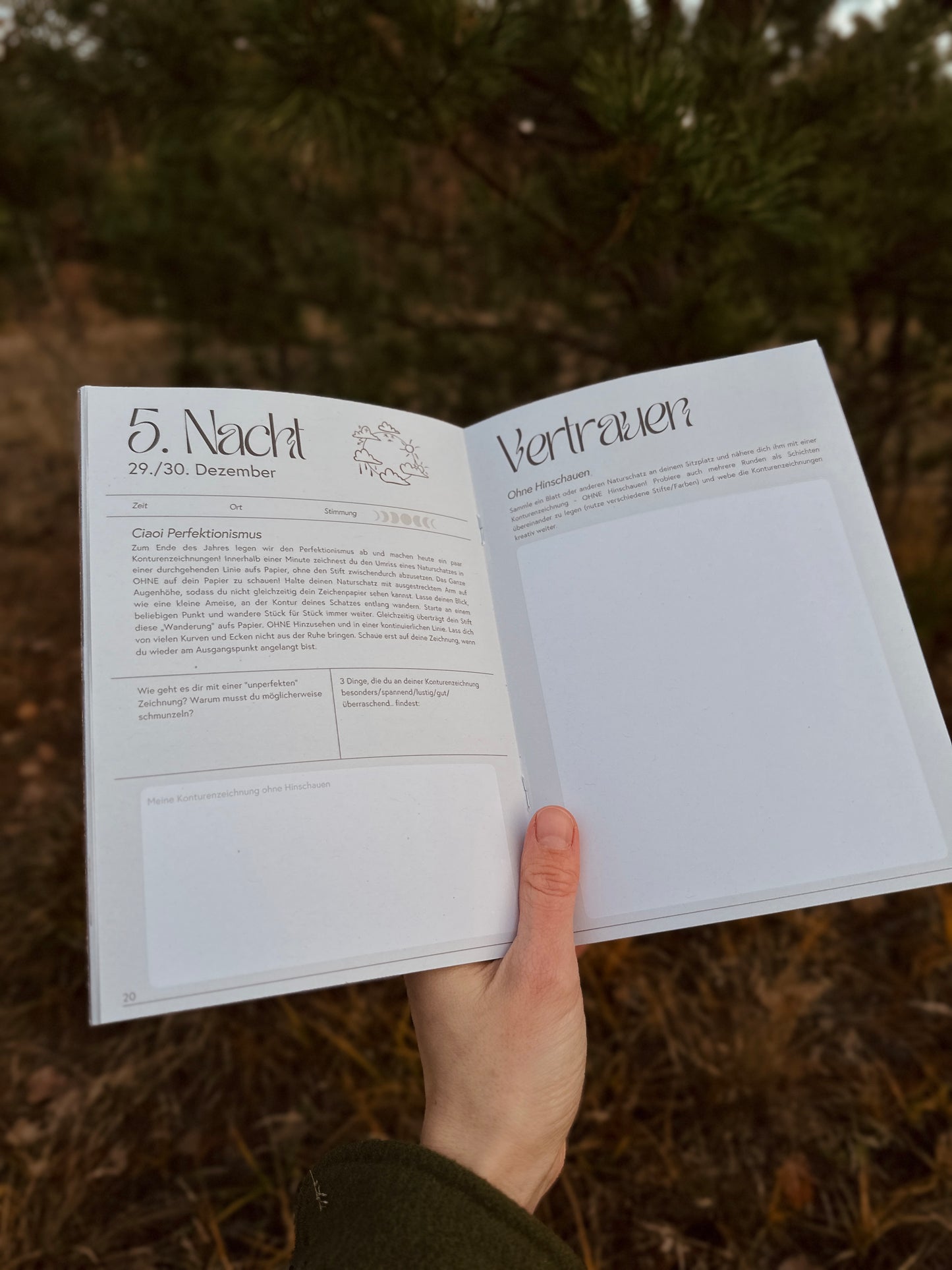 Raunacht - Deine Nature Journaling Reise