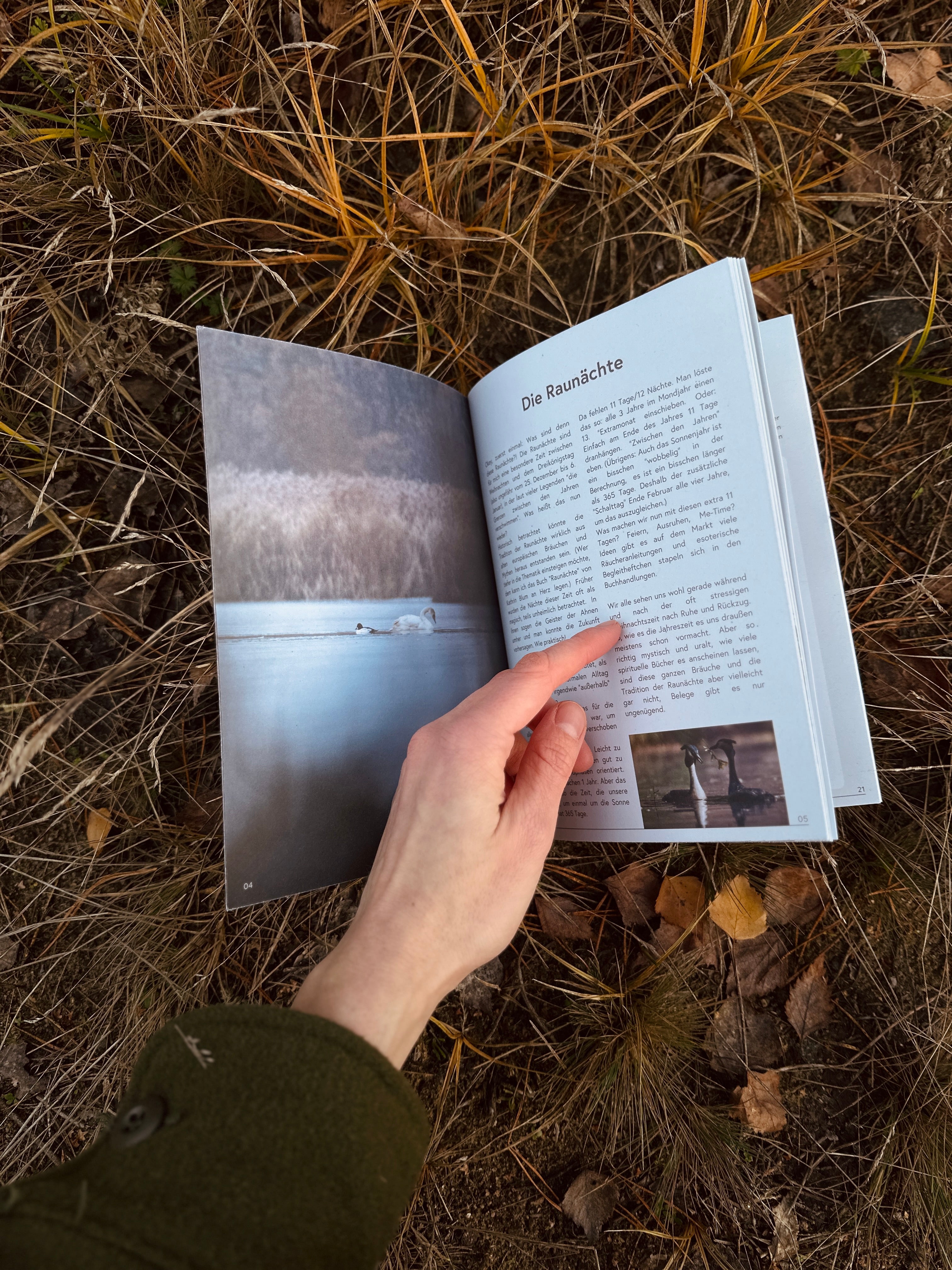 Raunacht - 12 Tage Nature Journaling zwischen den Jahren