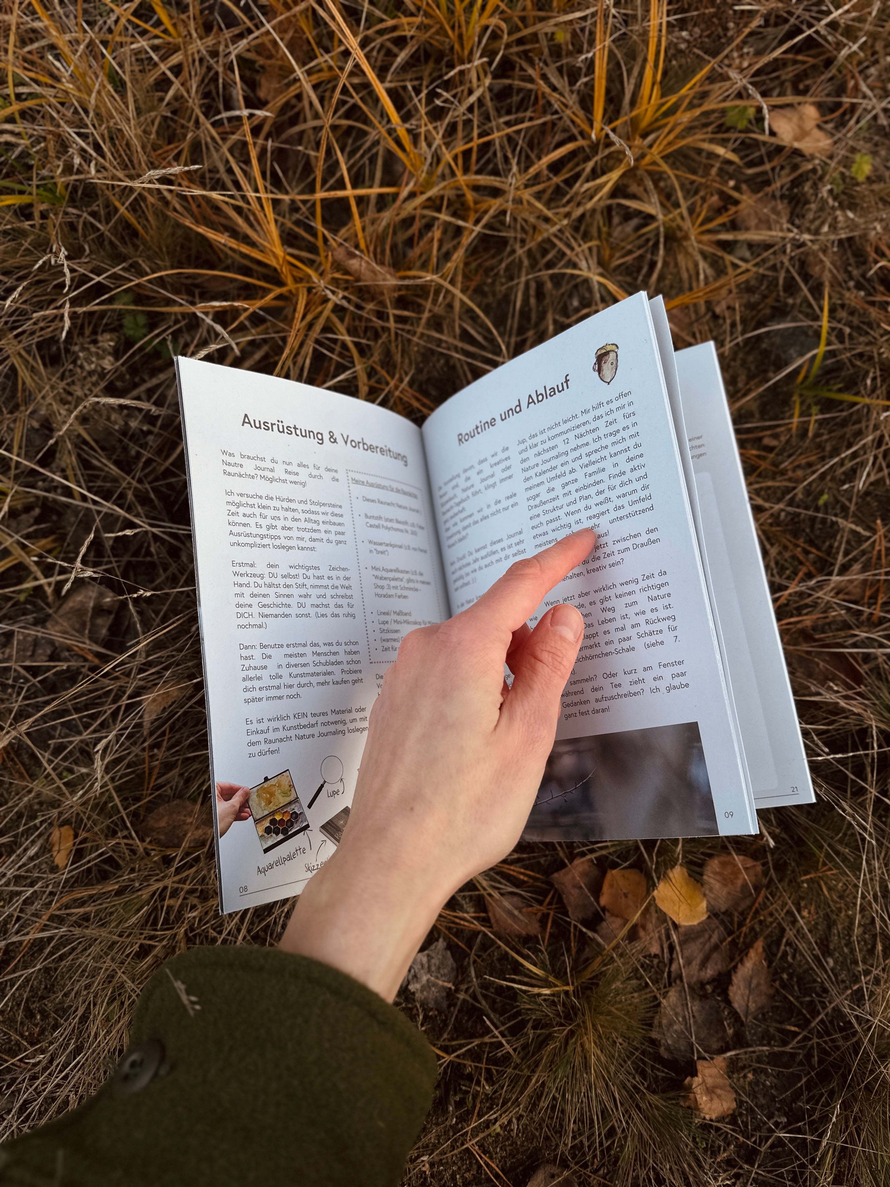 Raunacht - 12 Tage Nature Journaling zwischen den Jahren