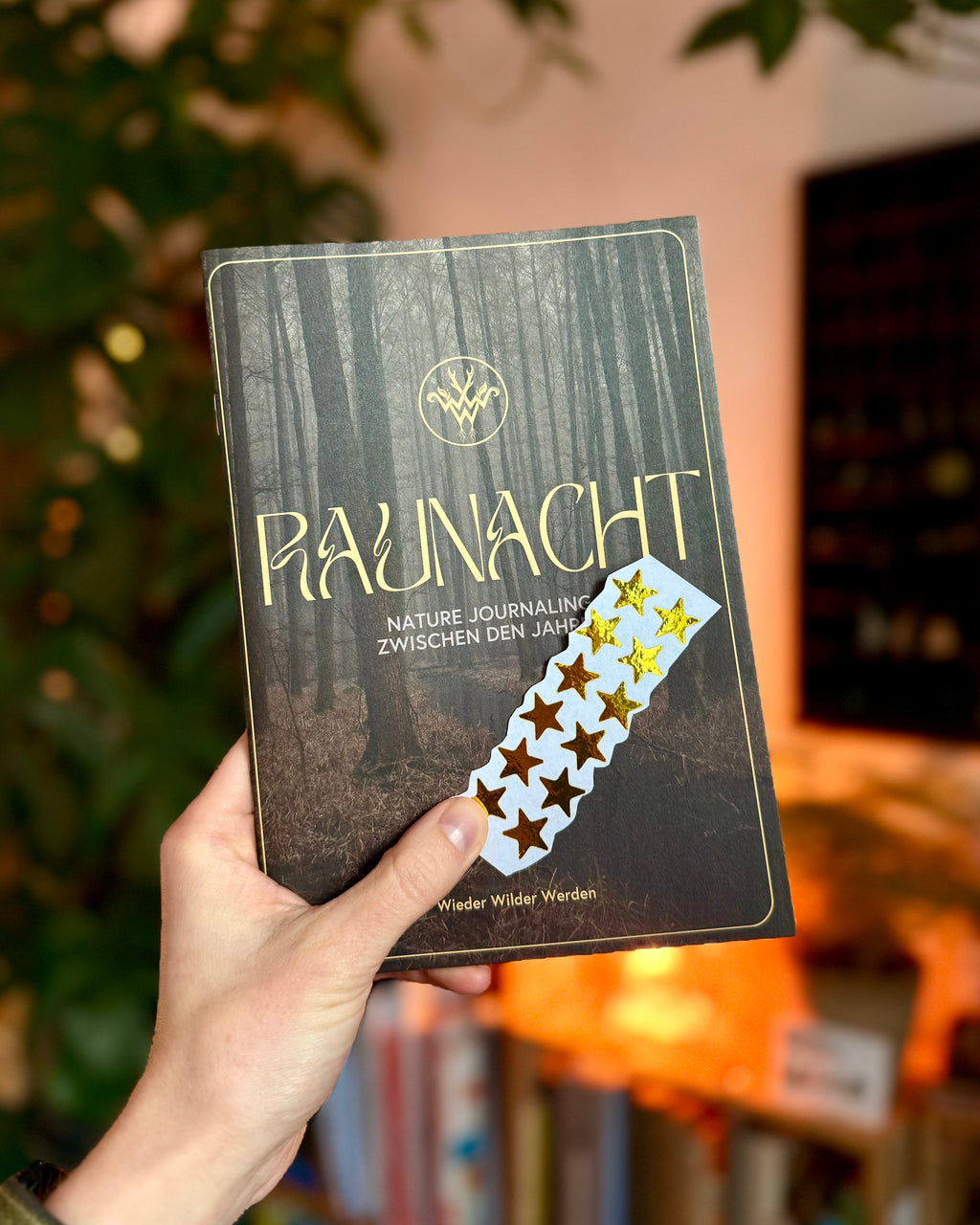 Raunacht - Deine Nature Journaling Reise