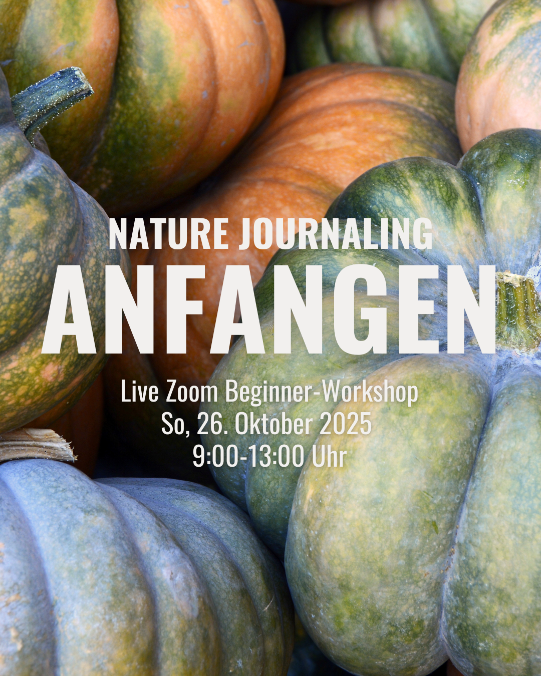 ::Anfangen:: - Beginner Nature Journaling Online Workshop