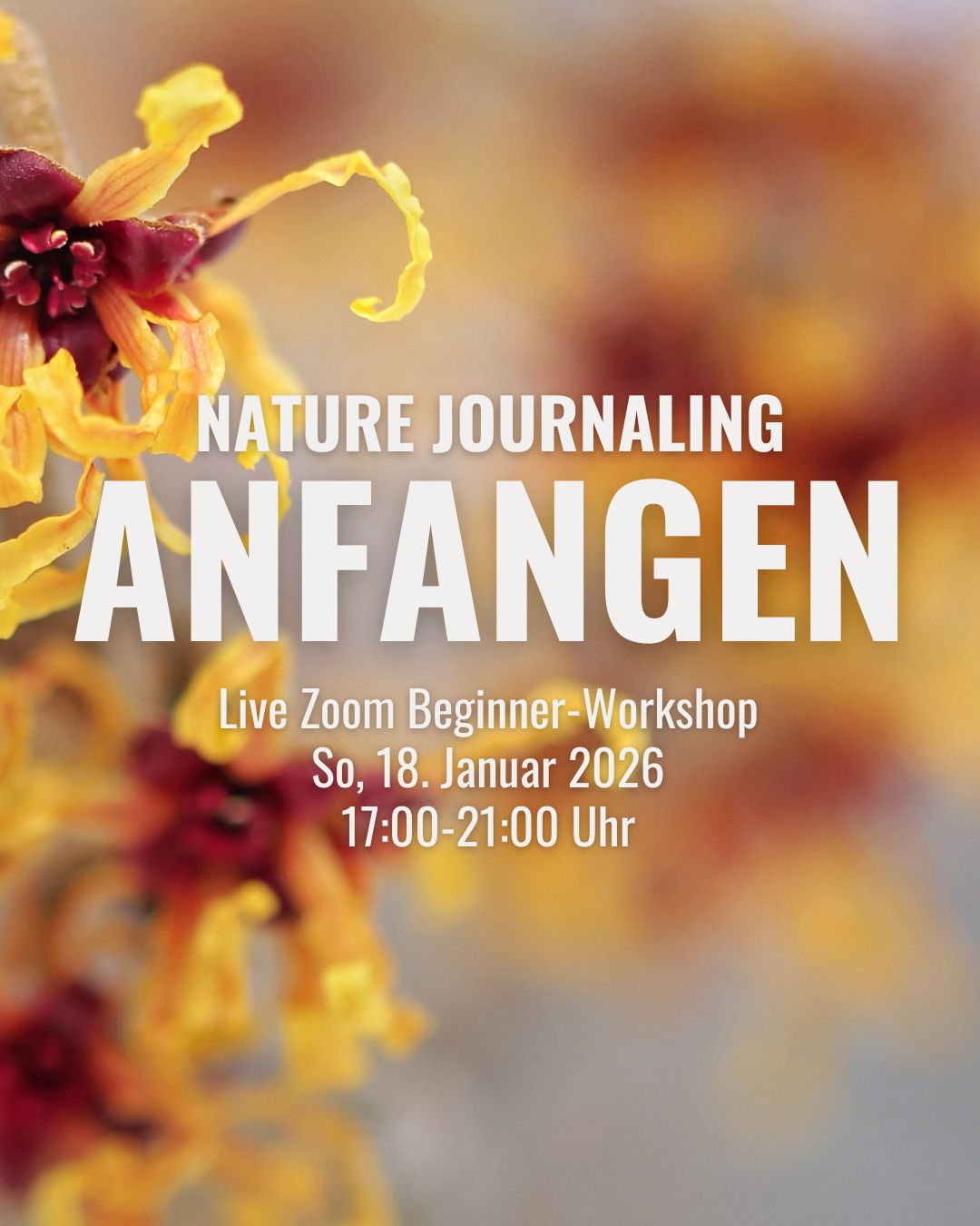 ::Anfangen:: - Beginner Nature Journaling Online Workshop