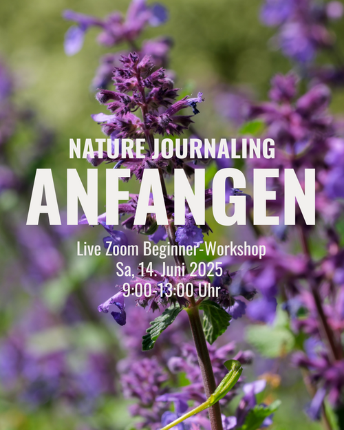 ::Anfangen:: - Beginner Nature Journaling Online Workshop
