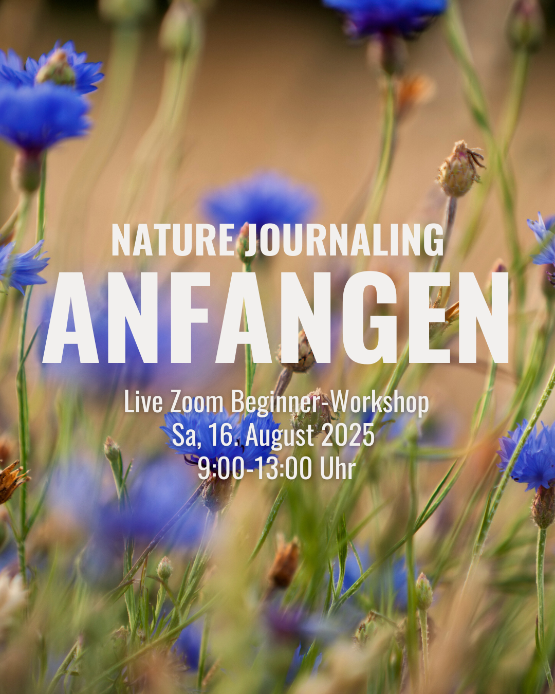 ::Anfangen:: - Beginner Nature Journaling Online Workshop