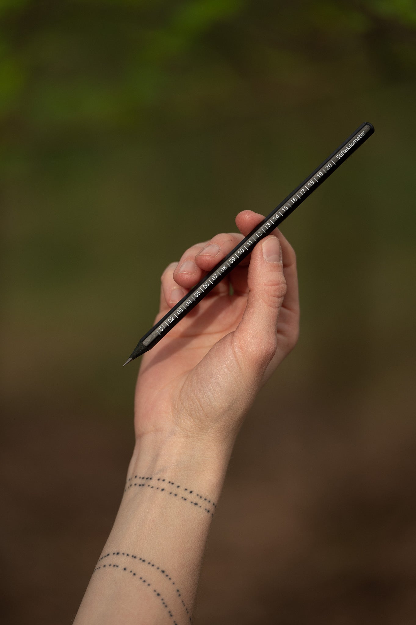 "Stiftekilometer" Nature Journaling Bleistift (sechseckig)