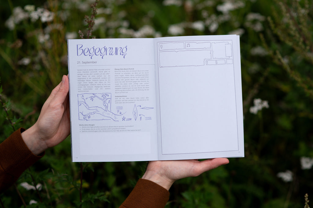 Mabon - Deine Nature Journaling Reise zur Herbst-Tagundnachtgleiche