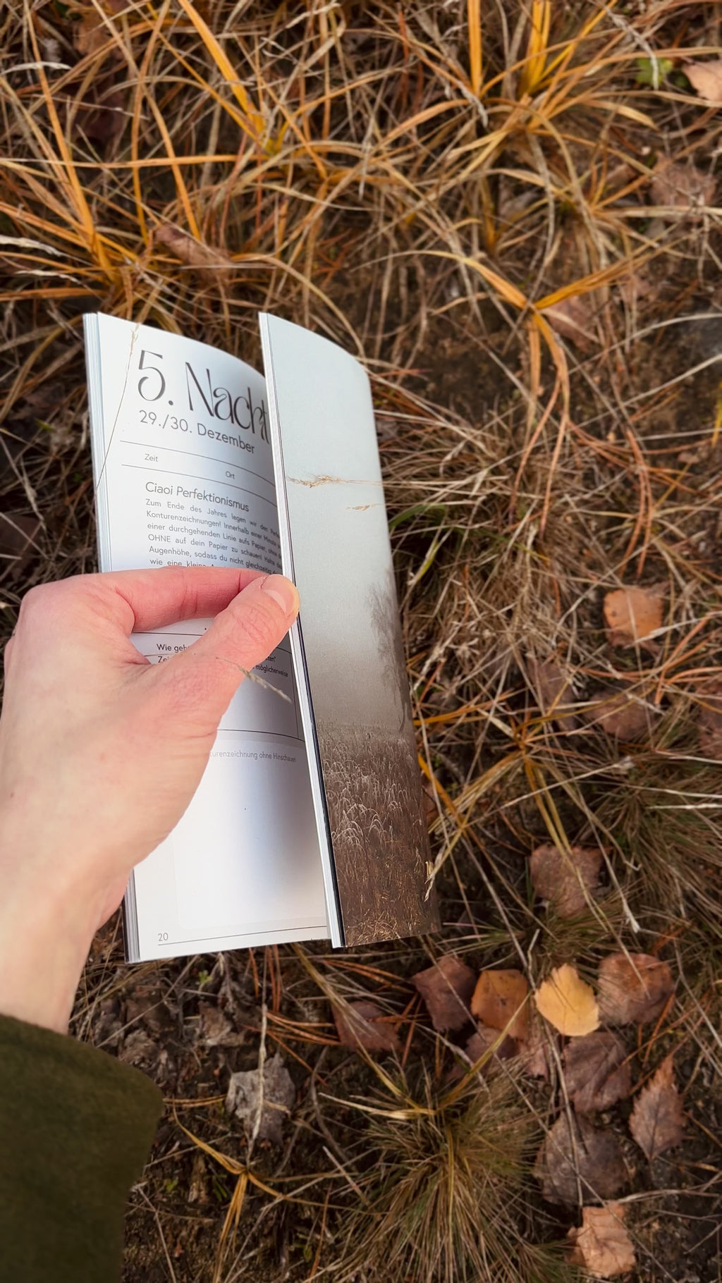 Raunacht - Deine Nature Journaling Reise