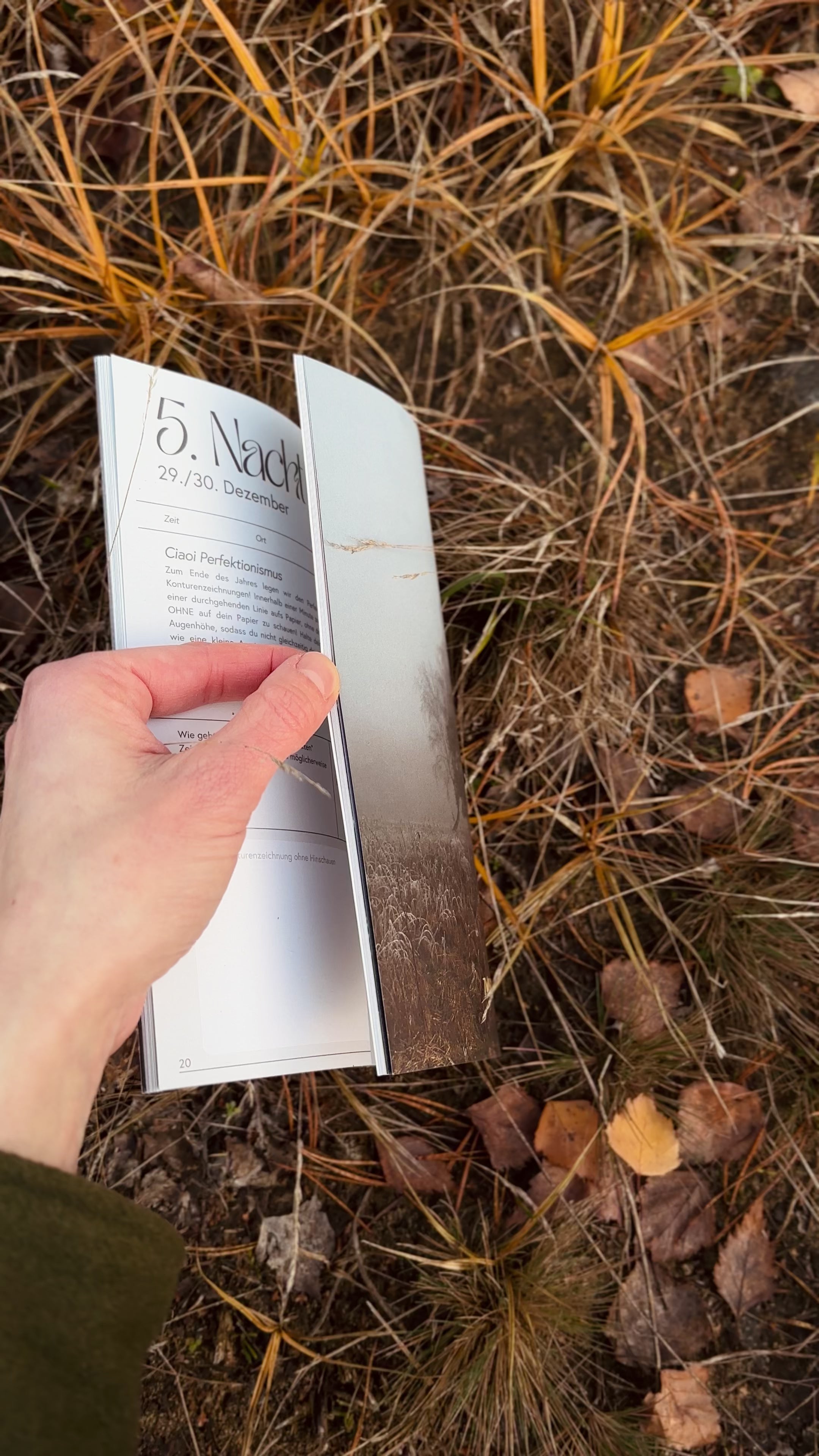 Raunacht - 12 Tage Nature Journaling zwischen den Jahren